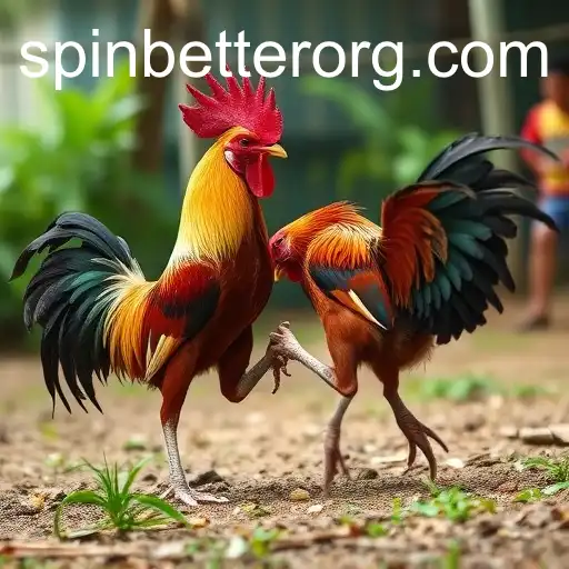 Exploring the World of Sabong Games and the Rise of SpinBetter